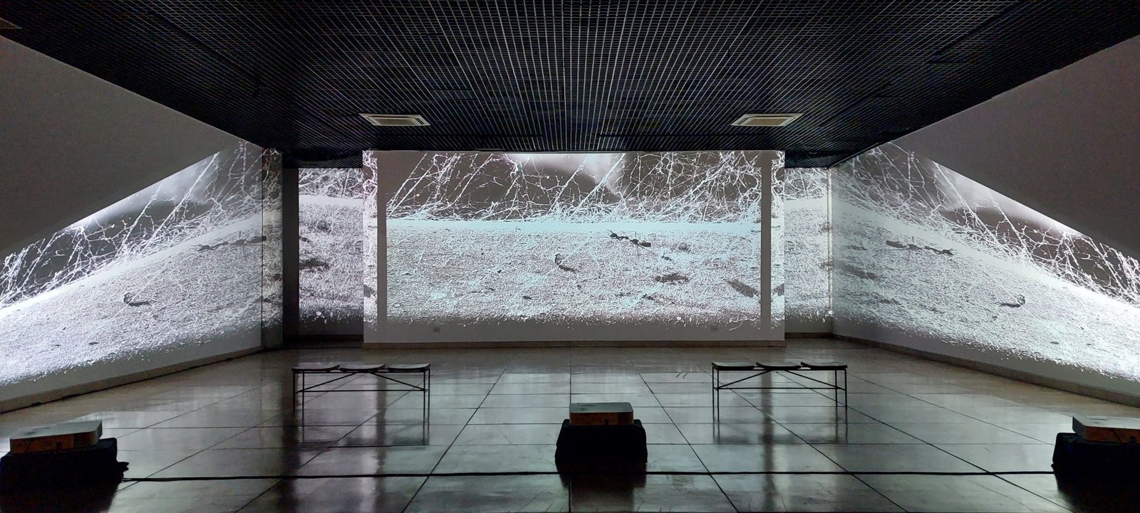 E|U Videoinstallation – Ausstellung & Festival von Studio Rossi